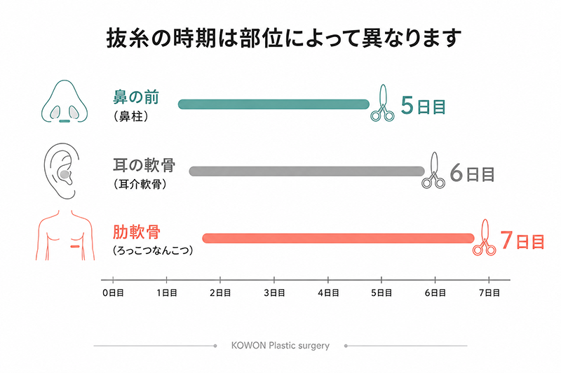 部位別の抜糸時期