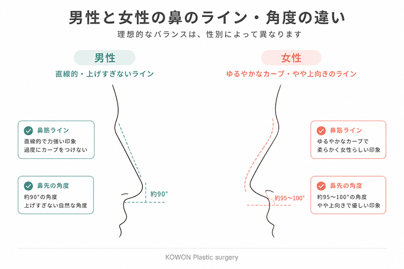男性と女性の鼻筋ライン・鼻先角度の比較